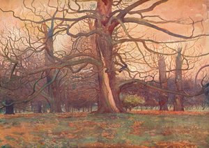 Studie einer Eiche von George Wilson