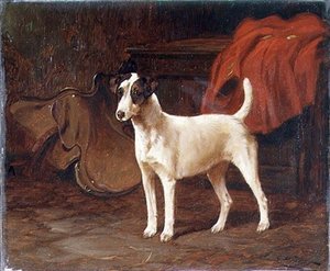 Ein Jack Russell in einem Sattelraum von George Wright
