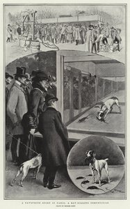 Ein beliebter Sport in Paris, ein Ratten-Tötungswettbewerb von Georges Bertin Scott