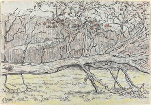 Gefällter Baum, Normandie