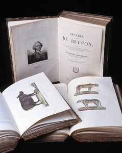 Stillleben der „Gesammelten Werke von Buffon“ von Naturforscher Georges Louis Leclerc, Graf von Buffon (1707-1788). Gravur von 1837.