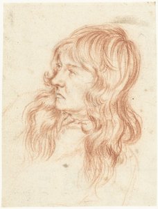 Kopf eines jungen Mannes, nach links von Gerard ter Borch (II)