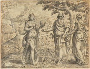 Der Samen, der unter die Dornen fiel, aus dem Gleichnis vom Sämann