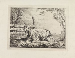 Liegende Ziege bei einem Zaun von Gerard van Nijmegen