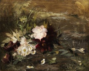 Seerosenblumen und Margeriten am Ufer