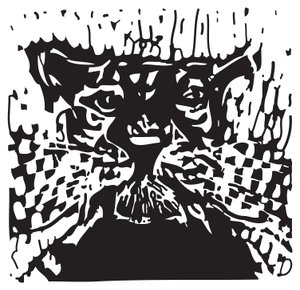 Katze mit Schnurrhaaren von Gerhardt Isringhaus