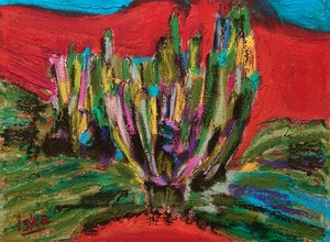Saguaro Geist, 2018