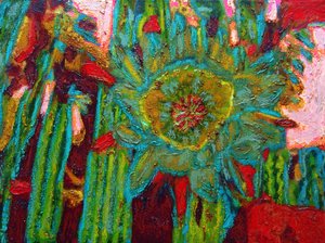 San Pedro Kaktusblüte, 2013 von Gerhardt Isringhaus