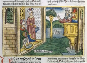 David sieht Bathseba baden, aus der Nürnberger Bibel (Biblia Sacra Germanaica)