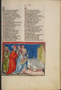 Aarons blühender Stab aus Weltchronik Ms. 33, fol. 101, um 1400-10