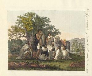 Abessinier ruhen während ihrer Reise