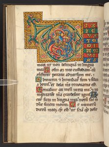 Große gerahmte Initialen in Gold und Farben mit Blatt- und manchmal zoomorphem und anthropomorphem Ornament (Pergament)