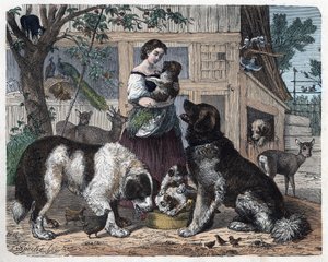 Zuneigung zwischen einer Bäuerin und ihren Hunden. In 