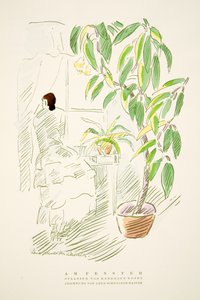Am Fenster, Pflanzen von Hermann Rothe, aus Styl, veröffentlicht 1922 von German School