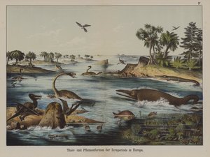 Tiere und Pflanzen der Jurazeit in Europa von German School