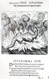 Wie der Salamander im Feuer lebt, so auch der Stein, Emblem XXIX aus Atalanta fugiens von Michael Maier, 1617