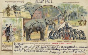 Barnum und Bailey