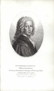 Bernhard Siegfried Albinus von German School