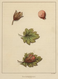 Handwerke von German School