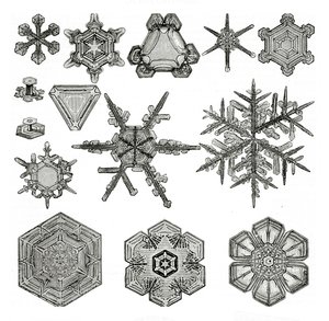 Verschiedene Formen von Schneeflocken von German School