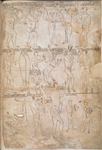 Zeichnungen der siebzehn monströsen Rassen, einschließlich Riesen, Pygmäen, Blemmyae und Donestre, Illustration aus 