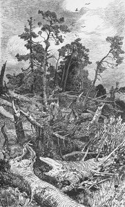 Auswirkungen eines Hurrikans