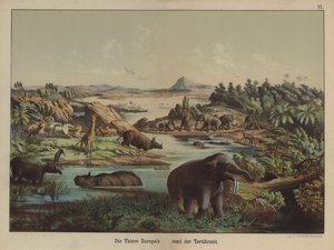 Europäische Tiere der Tertiärzeit von German School