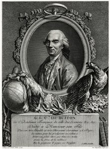 George Louis Leclerc Comte de Buffon von German School