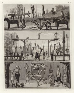 Gymnastik und Akrobatik (Stich) von German School