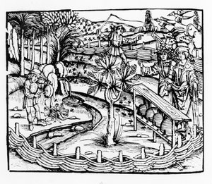 Glückliche Bauern, die Bienen pflegen, Illustration aus den Georgica von Virgil, Buch IV, aus der Ausgabe von Sebastian Brant (1457-1521), veröffentlicht 1502 von German School