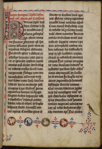 Harley 3973 f.1, Bewohnter Initialbuchstabe 