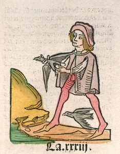 Hortus Sanitatis [Der Garten der Gesundheit] von Jacob Meydenbach, veröffentlicht 1491 von German School