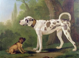 Jagdhund und Terrier von German School