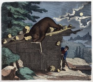 Jäger, die den Bären aus dem Alpenwald töten wollen. In „Wenn Jemand eine Reise tut, so kann er was erzählen“, deutsche Erzählung von Franz Wiedemann. von German School
