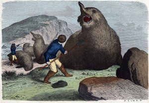 Jäger kämpfen gegen See-Elefanten. In „Wenn Jemand eine Reise tut, so kann er was erzählen“, deutsche Erzählung von Franz Wiedemann.