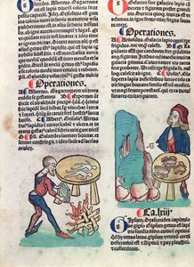 Illustrierte Seite aus Hortus Sanitatis, 1491 von German School