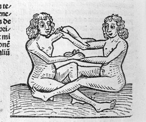Die Zwillinge - in Traktat von Johannes Angeli De Magnisconnectionibue annorum revolutionibus ac eorum perfectionibus. Augsburg, Erhard Ratdolt von German School