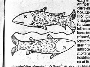 Die Fische - im Traktat von Johannes Angeli De Magnisconnectionibue annorum revolutionibus ac eorum perfectionibus. Augsburg, Erhard Ratdolt