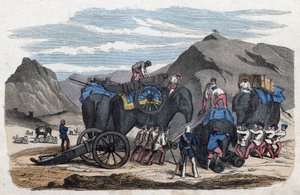 Verladung von Elefanten für Herrn Bocks Reise nach Dresden. In „Wenn Jemand eine Reise tut, so kann er was erzählen“, deutsche Erzählung von Franz Wiedemann.