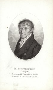 Martin Lichtenstein