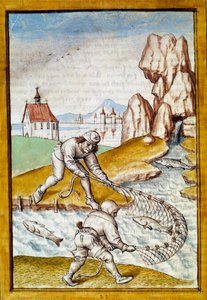 Miniaturnetzfischen aus einer deutschen Übersetzung der Fabeln von „Kalila und Dimna“