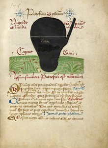 Aus den Alchemistischen Abhandlungen, spätes 15. Jahrhundert von German School