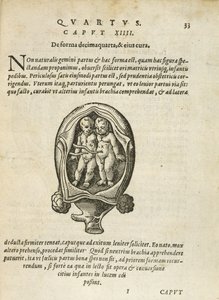 Nicht-identische Zwillinge im Mutterleib, Illustration aus Kapitel 14, Buch 4 von Über die Empfängnis und das Wachstum des Menschen von Rueff, 1587