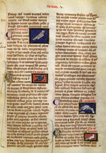 Seite aus De Natura Rerum über Vögel, von Albertus Magnus (circa 1200-1280) von German School