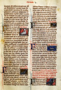 Seite aus De Natura Rerum über Vögel, von Albertus Magnus (circa 1200-1280) von German School