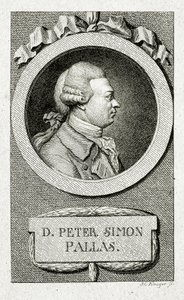 Peter Simon Pallas. (1741 – 1811) von German School