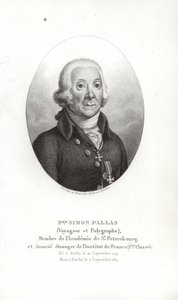Peter Simon Pallas von German School