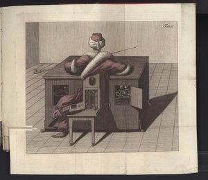 Tafel II aus Uber den Schachspieler des Herrn von Kempelen und dessen Nachbildung, Leipzig und Dresden: Joh. Gottl. Breitkopf, 1789 von German School