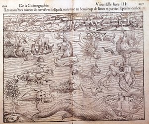 Tafel, die alle Arten von Meeres- und Landmonstern darstellt, die in nördlichen Regionen gefunden wurden: Xylographie aus Sebastien Münsters „Universal Cosmography“. Basel