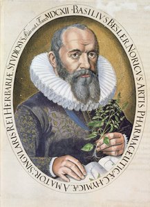 Porträt von Basil Besler (1561-1629) im Jahr 1612, aus dem Hortus Eystettensis, veröffentlicht 1613 von German School